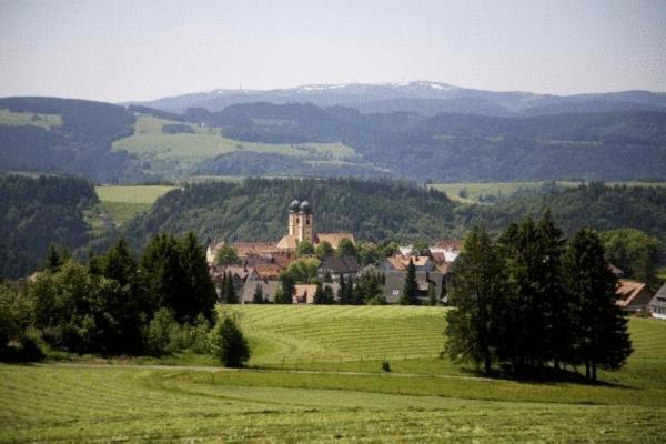 Gaestehaus Wald Und See Титизее-Нойштадт Экстерьер фото
